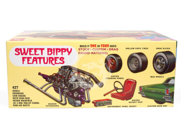 Sweet Bippy 1966 Galaxie H.T. 1/25 scale customizing kit - AMT 1393 skala 1/25