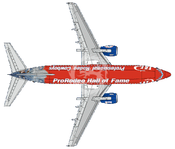 Kalkomania i blaszka do Boeing 737 Western Pacific Airlines 