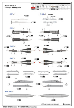 MiG-31 Foxhound B/BM Trumpeter 01680 skala 1/72